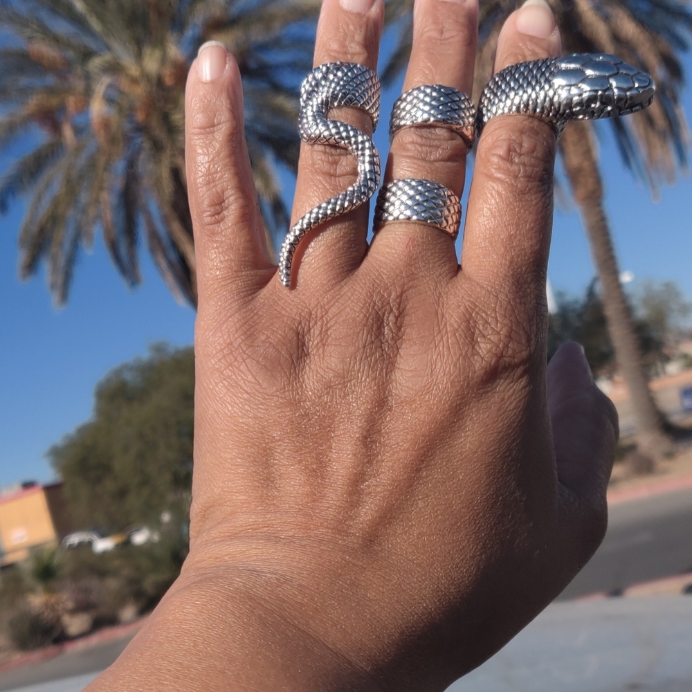 Serpentine Snake Ring Set - Picture 4 of 6
